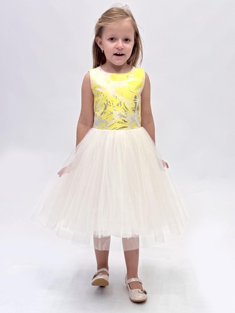 �������� (����� + ������) (����, ��� 6)