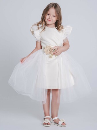 ������ (����, ��� 1)