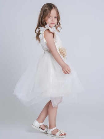 ������ (����, ��� 2)