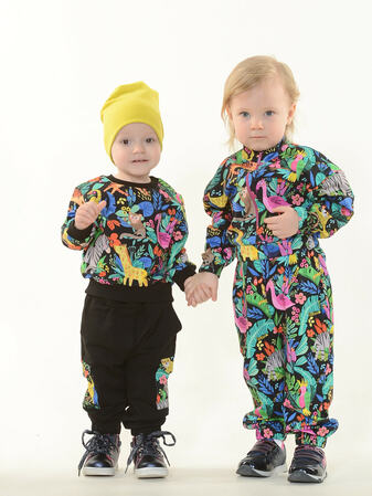 Bravika coup  (,  2)