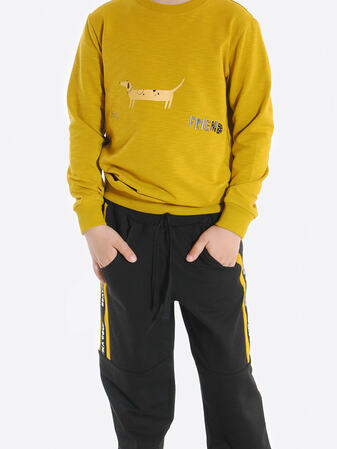 Bravika coup  (, ) (,  2)