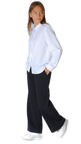 Блузка (вид 2) Блузка (фото, вид 2)