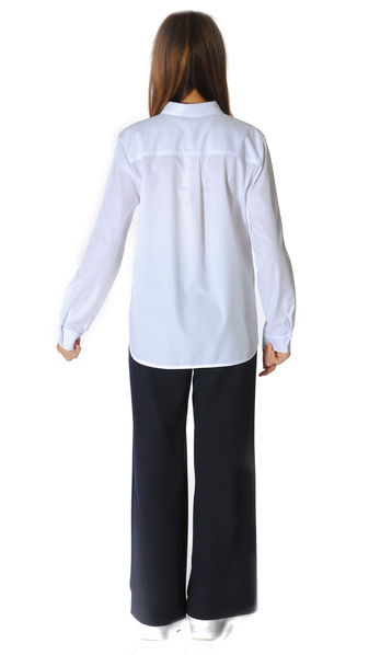 Блузка (вид 3) Блузка (фото, вид 3)