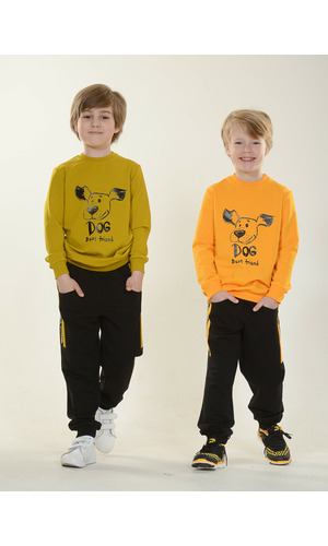 Bravika coup +.  2