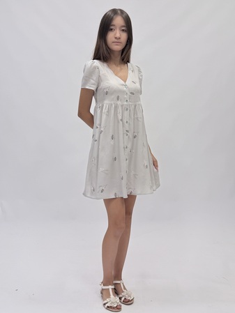 ������ (����)