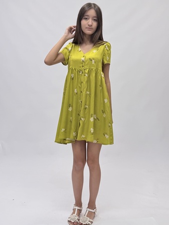 ������ (����)