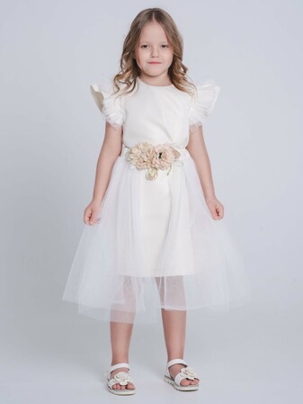 ������ (����)