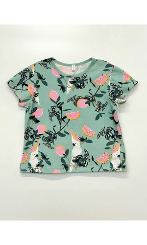 ��������